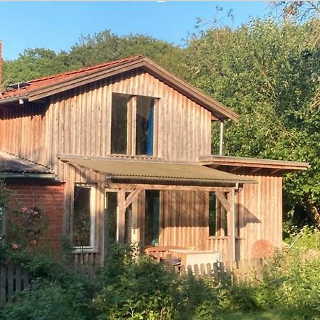 Natur Kunst Ferienhaus Neu Darchau Luaran gambar