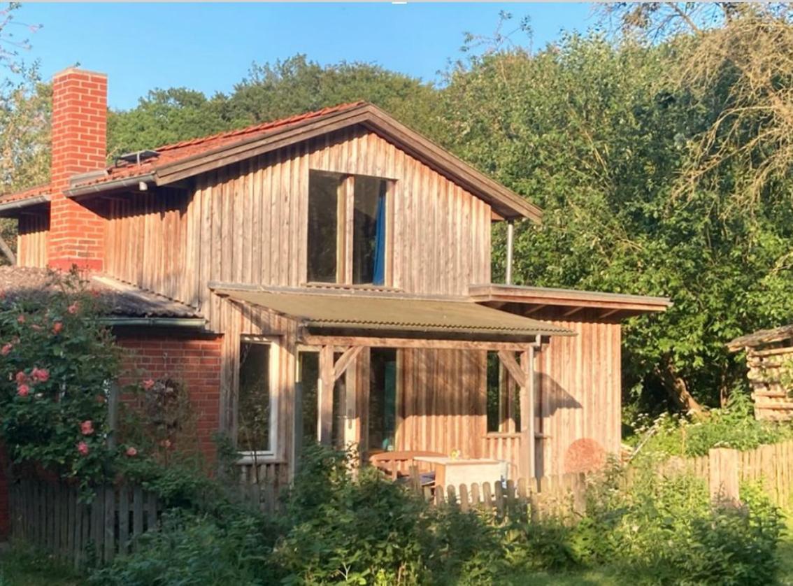 Natur Kunst Ferienhaus Neu Darchau Luaran gambar